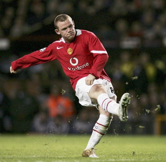 近年来它们 近年来它们